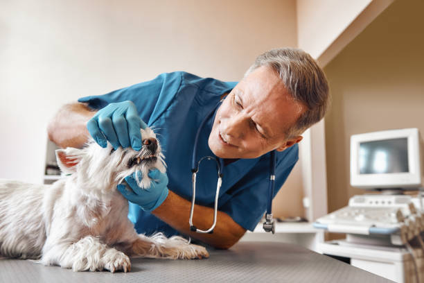 Best Same-Day Emergency Dentist in Clendenin, WV